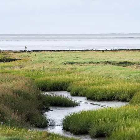 Tiny House Nature 8 Innenlage - Tiny Village Harlesiel Carolinensiel